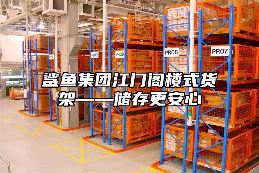 鯊魚集團江門閣樓式貨架——儲存更安心