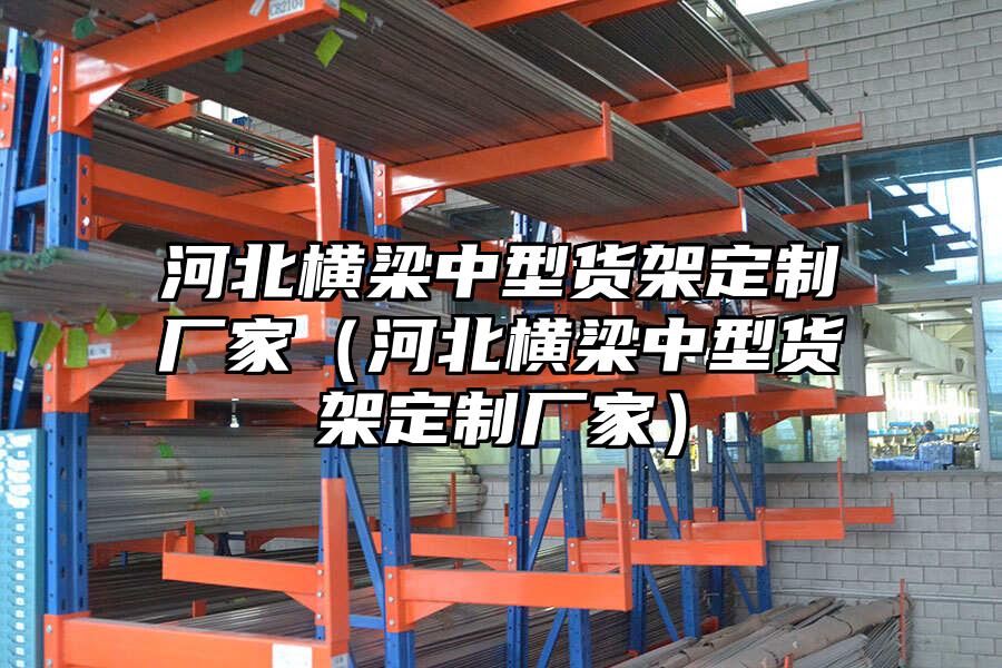 河北橫梁中型貨架定制廠家（河北橫梁中型貨架定制廠家）