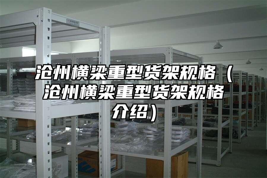 滄州橫梁重型貨架規格（滄州橫梁重型貨架規格介紹）