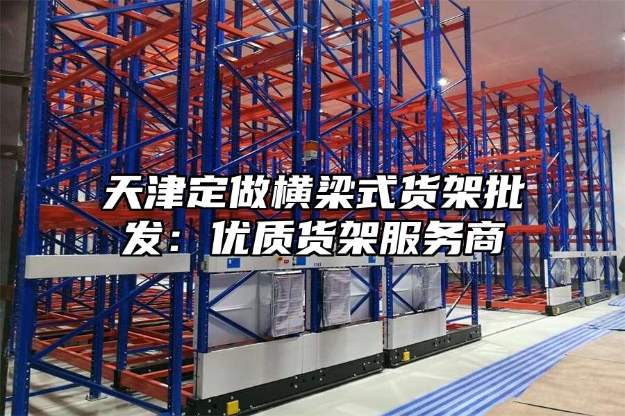 天津定做橫梁式貨架批發：優質貨架服務商