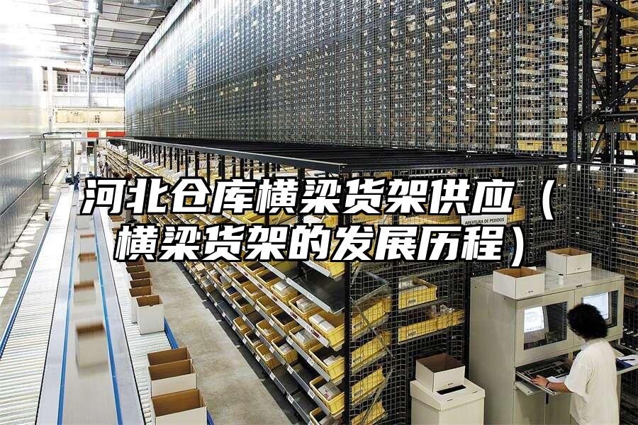 河北倉庫橫梁貨架供應（橫梁貨架的發展歷程）