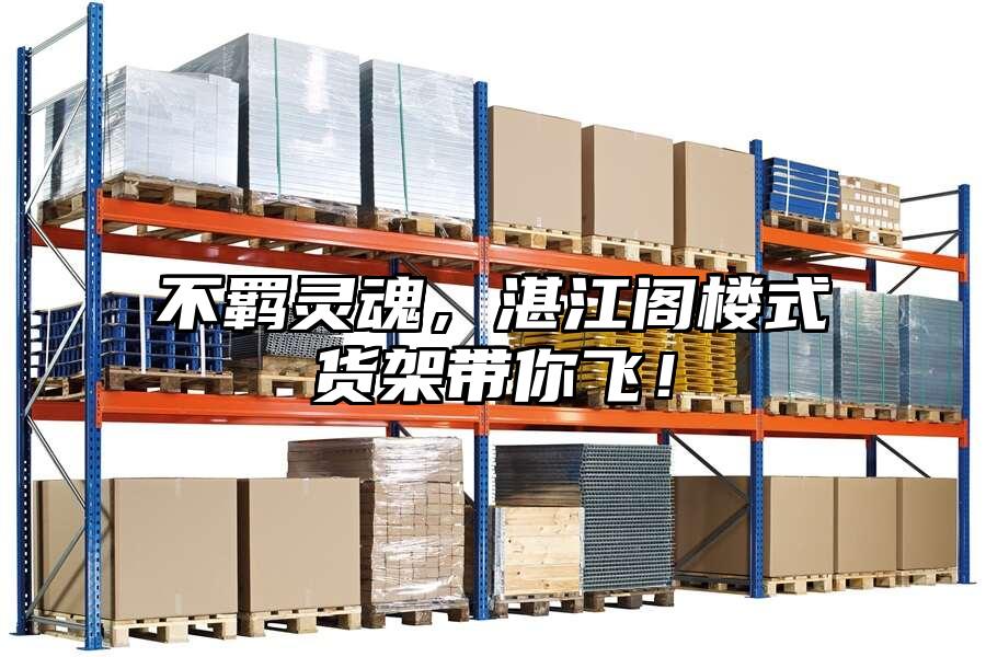 不羈靈魂，湛江閣樓式貨架帶你飛！