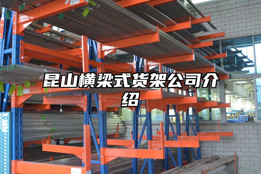 昆山橫梁式貨架公司介紹