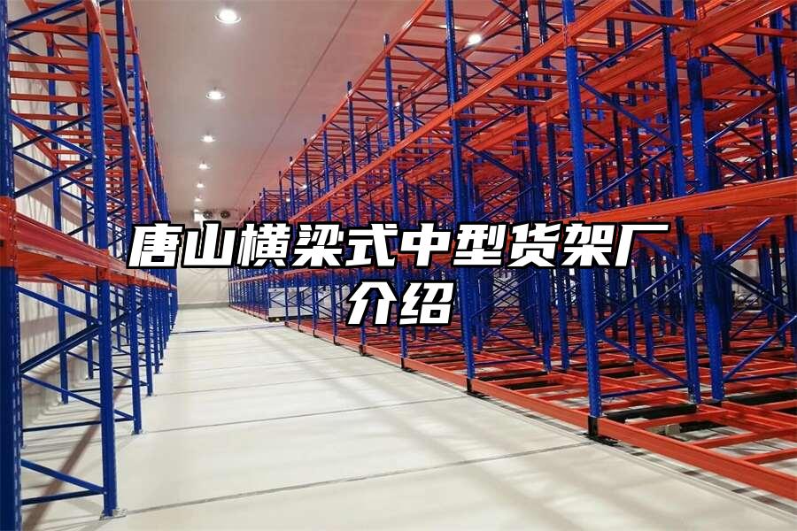 唐山橫梁式中型貨架廠介紹