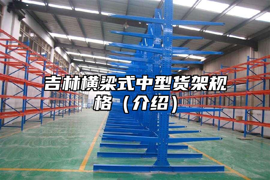 吉林橫梁式中型貨架規(guī)格（介紹）