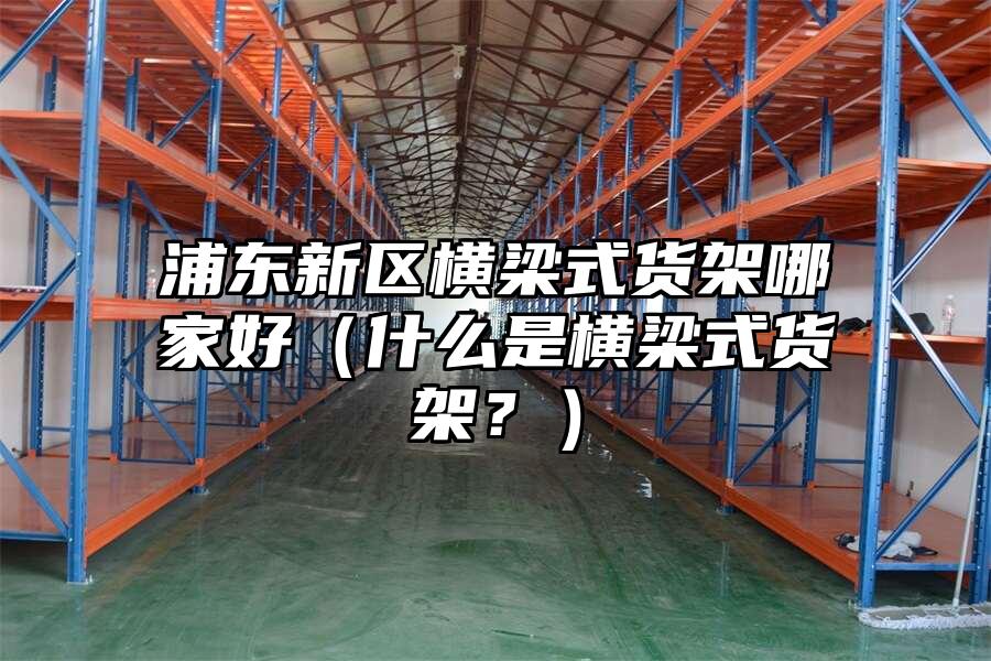 浦東新區橫梁式貨架哪家好（什么是橫梁式貨架？）
