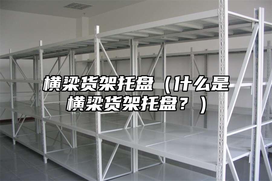 橫梁貨架托盤（什么是橫梁貨架托盤？）