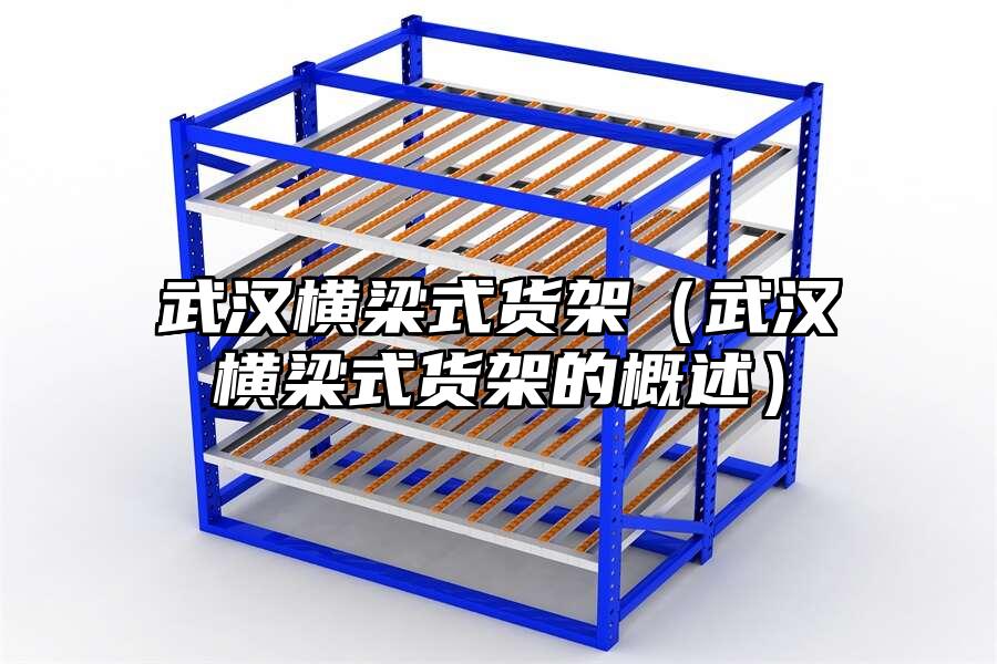 武漢橫梁式貨架（武漢橫梁式貨架的概述）