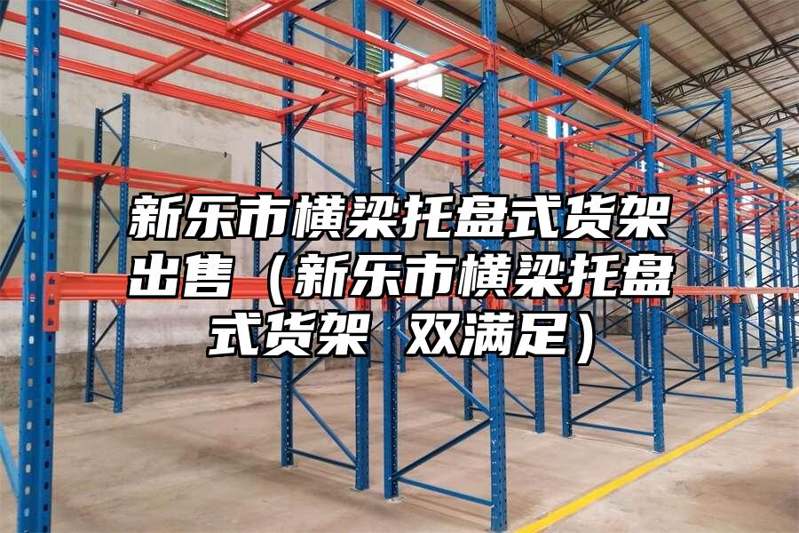 新樂市橫梁托盤式貨架出售（新樂市橫梁托盤式貨架 雙滿足）