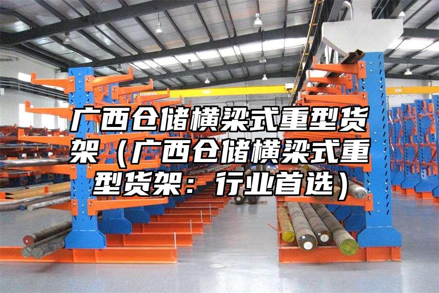 廣西倉儲橫梁式重型貨架（廣西倉儲橫梁式重型貨架：行業(yè)首選）