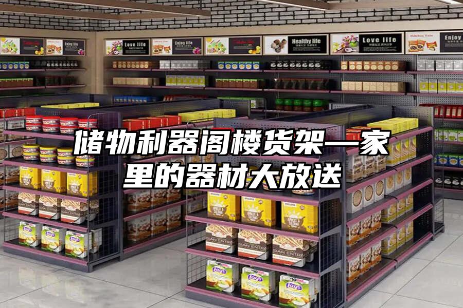 儲物利器閣樓貨架—家里的器材大放送