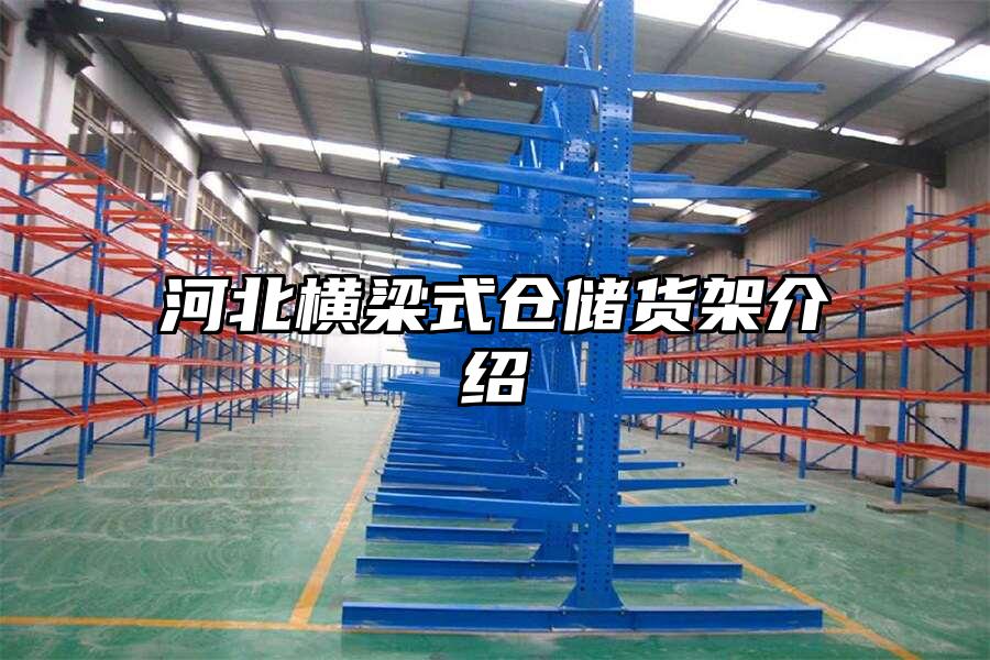 河北橫梁式倉儲貨架介紹
