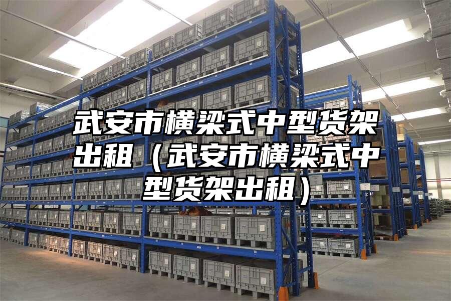 武安市橫梁式中型貨架出租（武安市橫梁式中型貨架出租）