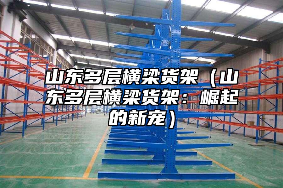 山東多層橫梁貨架（山東多層橫梁貨架：崛起的新寵）