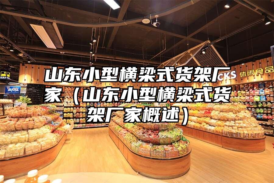 山東小型橫梁式貨架廠家（山東小型橫梁式貨架廠家概述）