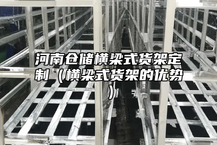 河南倉(cāng)儲(chǔ)橫梁式貨架定制（橫梁式貨架的優(yōu)勢(shì)）