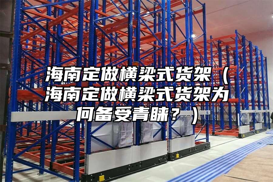 海南定做橫梁式貨架（海南定做橫梁式貨架為何備受青睞？）