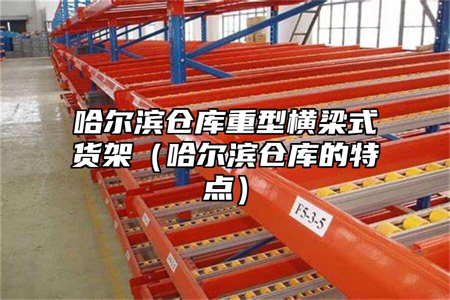 哈爾濱倉庫重型橫梁式貨架（哈爾濱倉庫的特點）