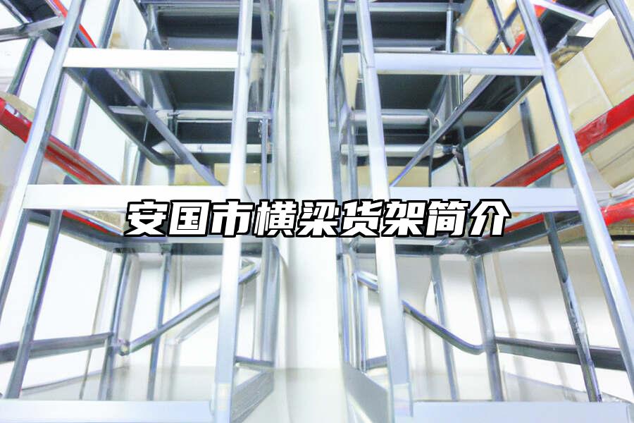 安國市橫梁貨架簡介