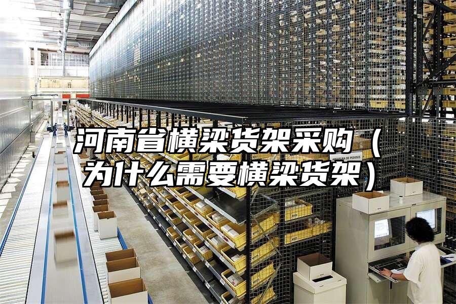 河南省橫梁貨架采購（為什么需要橫梁貨架）