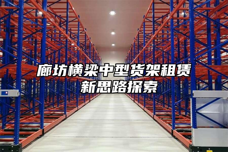 廊坊橫梁中型貨架租賃 新思路探索