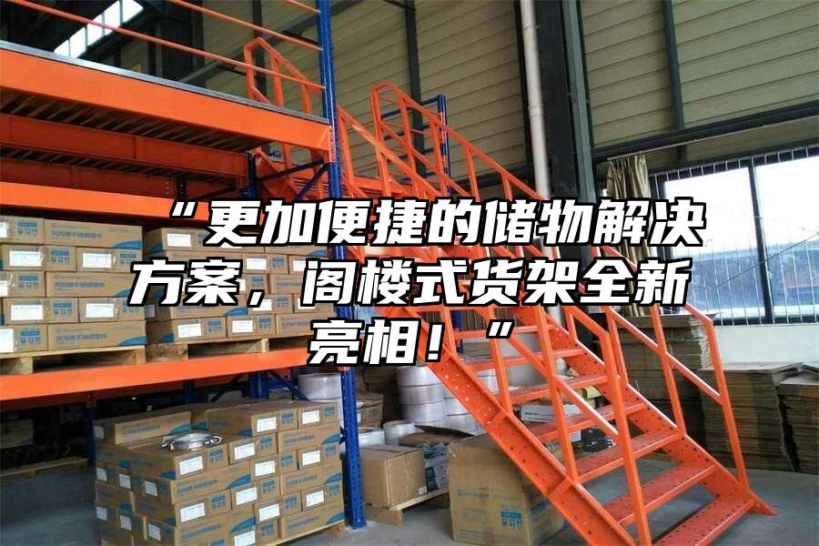 “更加便捷的儲(chǔ)物解決方案，閣樓式貨架全新亮相！”