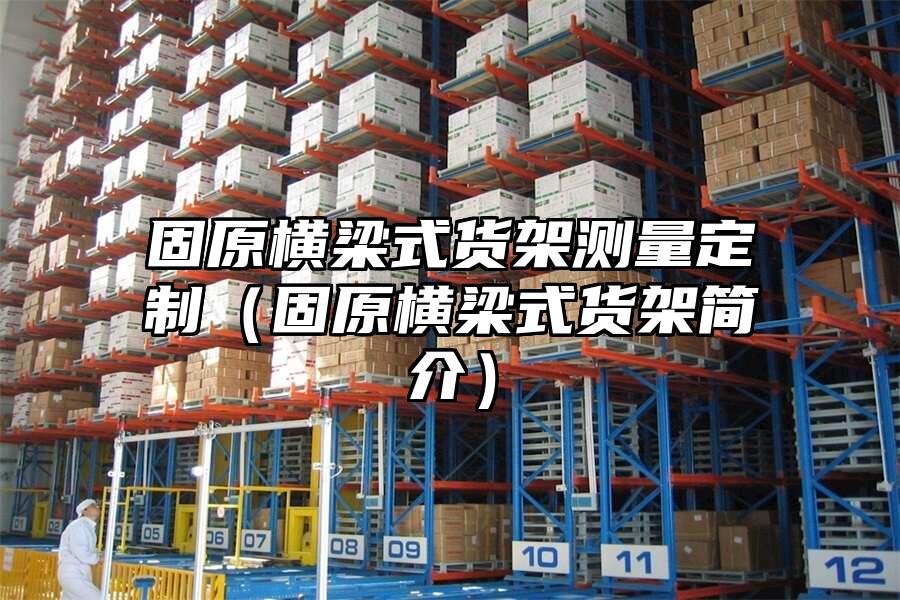 固原橫梁式貨架測量定制（固原橫梁式貨架簡介）