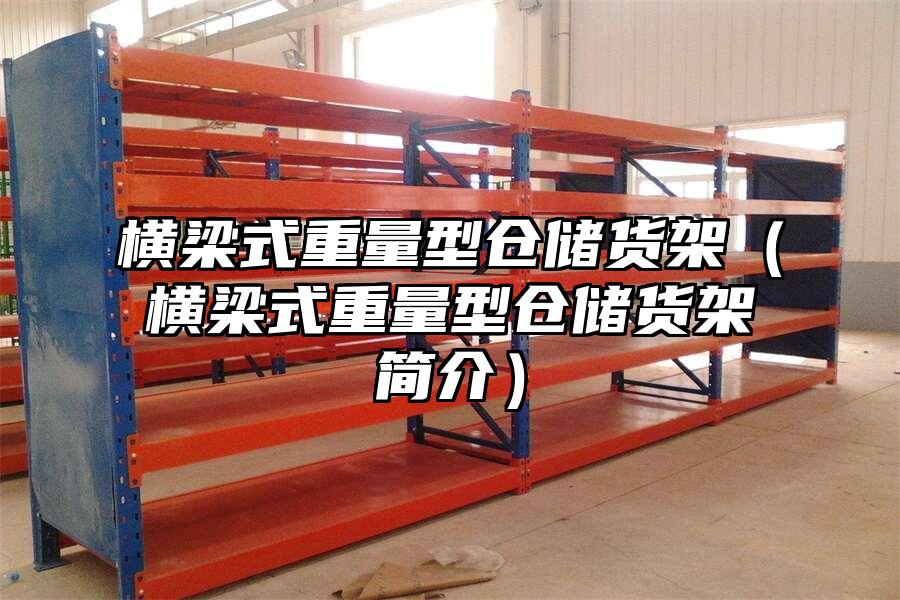 橫梁式重量型倉儲貨架（橫梁式重量型倉儲貨架簡介）