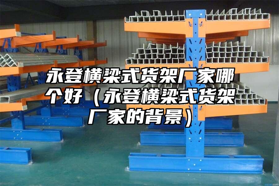 永登橫梁式貨架廠家哪個(gè)好（永登橫梁式貨架廠家的背景）