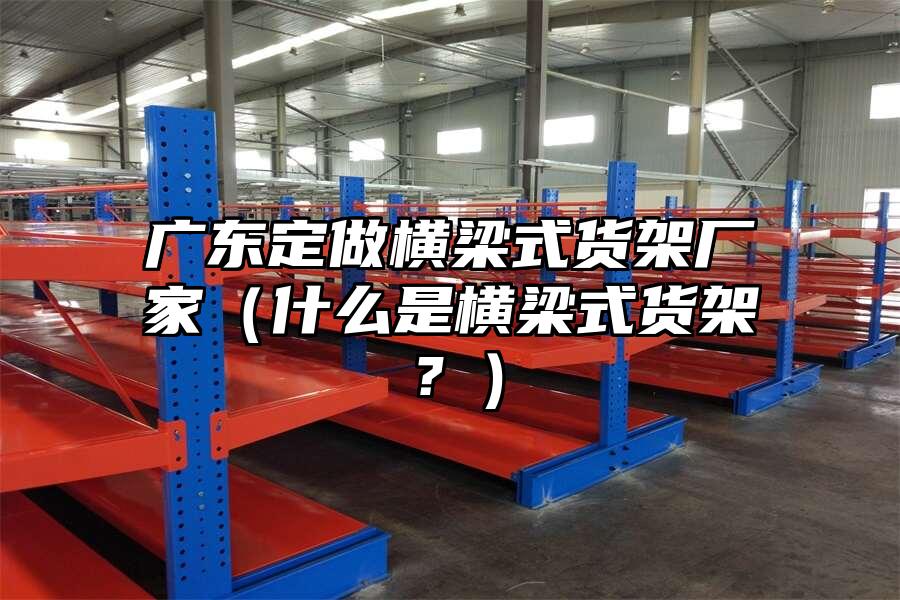 廣東定做橫梁式貨架廠家（什么是橫梁式貨架？）