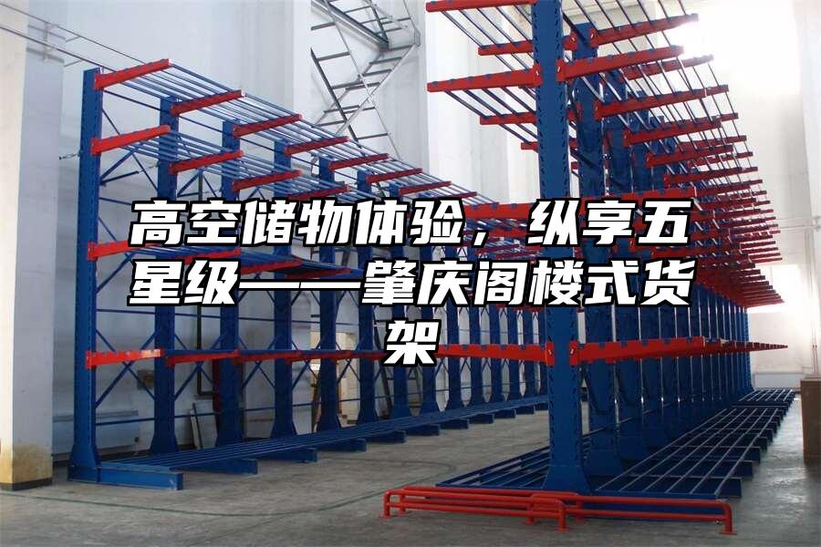 高空儲物體驗，縱享五星級——肇慶閣樓式貨架