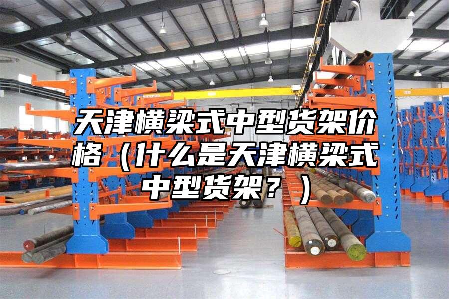 天津橫梁式中型貨架價格（什么是天津橫梁式中型貨架？）