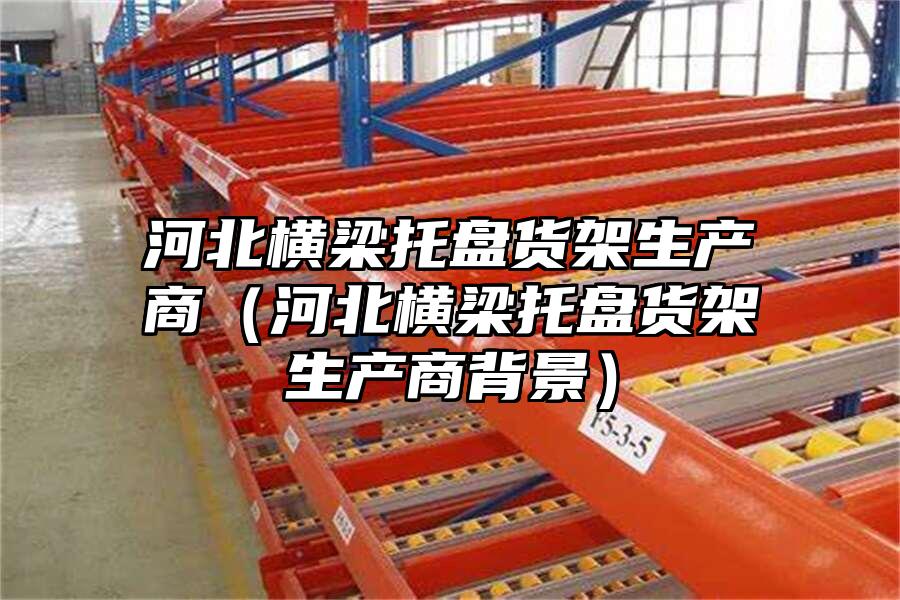 河北橫梁托盤貨架生產商（河北橫梁托盤貨架生產商背景）