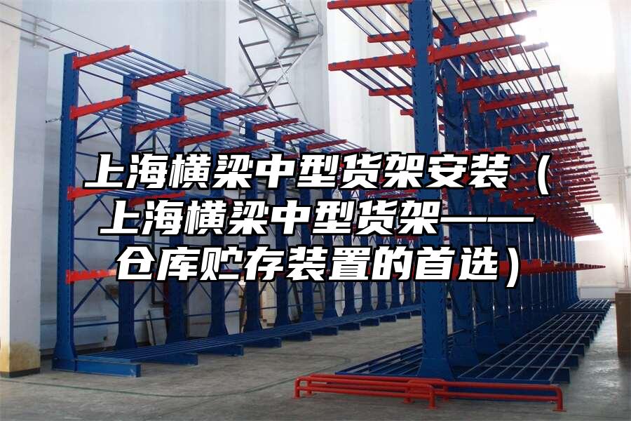上海橫梁中型貨架安裝（上海橫梁中型貨架——倉庫貯存裝置的首選）