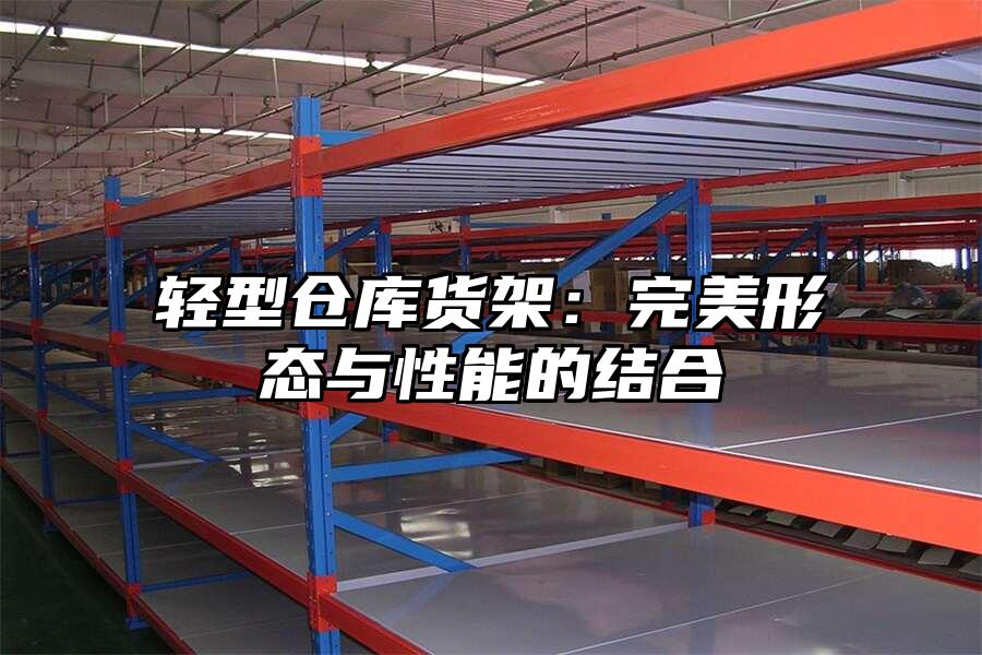 輕型倉庫貨架：完美形態與性能的結合
