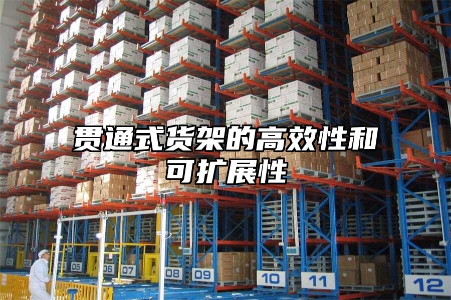 貫通式貨架的高效性和可擴展性
