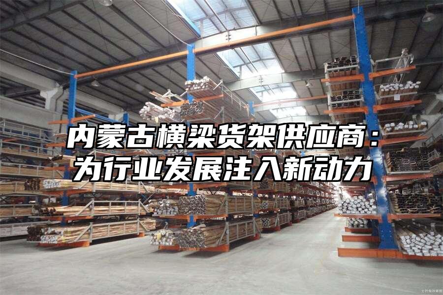 內蒙古橫梁貨架供應商：為行業發展注入新動力