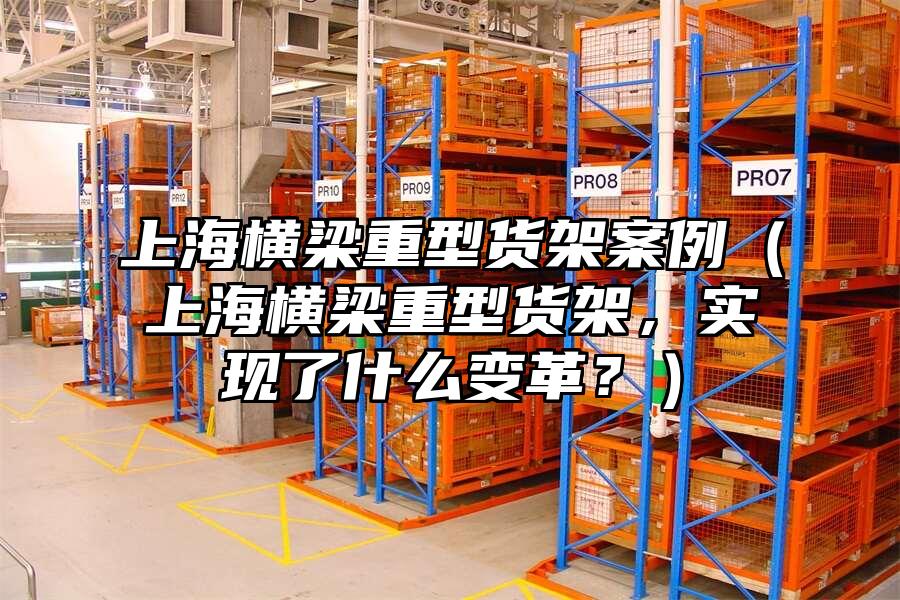 上海橫梁重型貨架案例（上海橫梁重型貨架，實(shí)現(xiàn)了什么變革？）