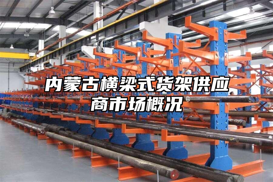 內蒙古橫梁式貨架供應商市場概況