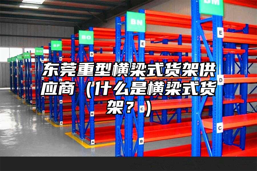 東莞重型橫梁式貨架供應商（什么是橫梁式貨架？）