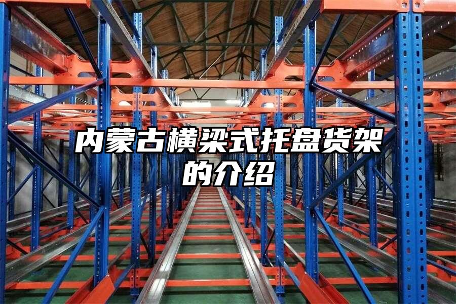 內蒙古橫梁式托盤貨架的介紹