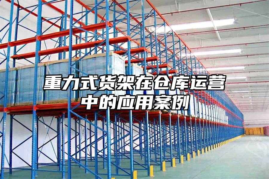 重力式貨架在倉庫運營中的應用案例