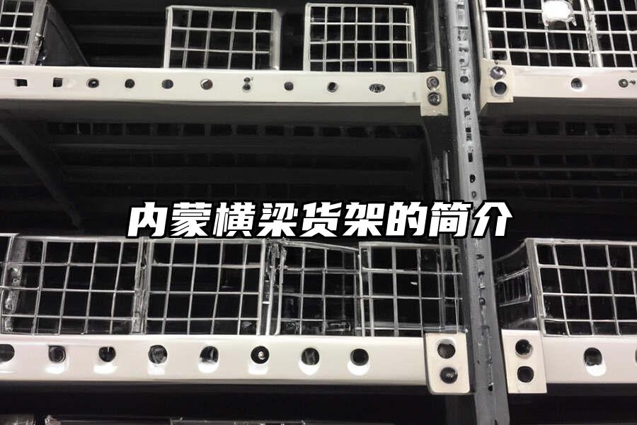 內蒙橫梁貨架的簡介