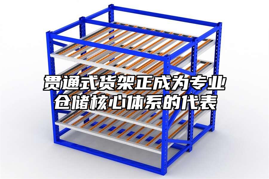 貫通式貨架正成為專業(yè)倉(cāng)儲(chǔ)核心體系的代表