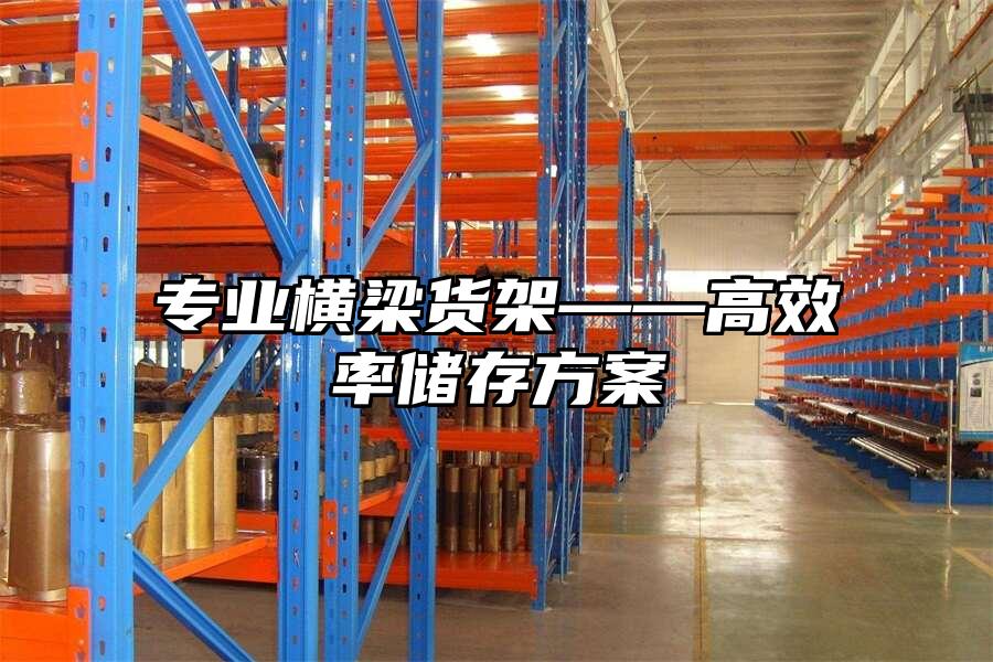 專業(yè)橫梁貨架——高效率儲(chǔ)存方案
