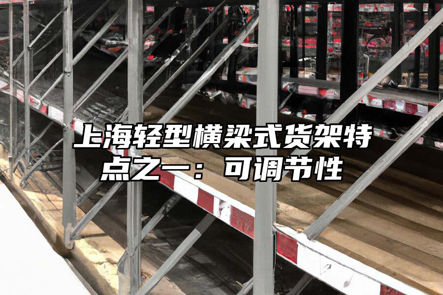 上海輕型橫梁式貨架特點之一：可調節性