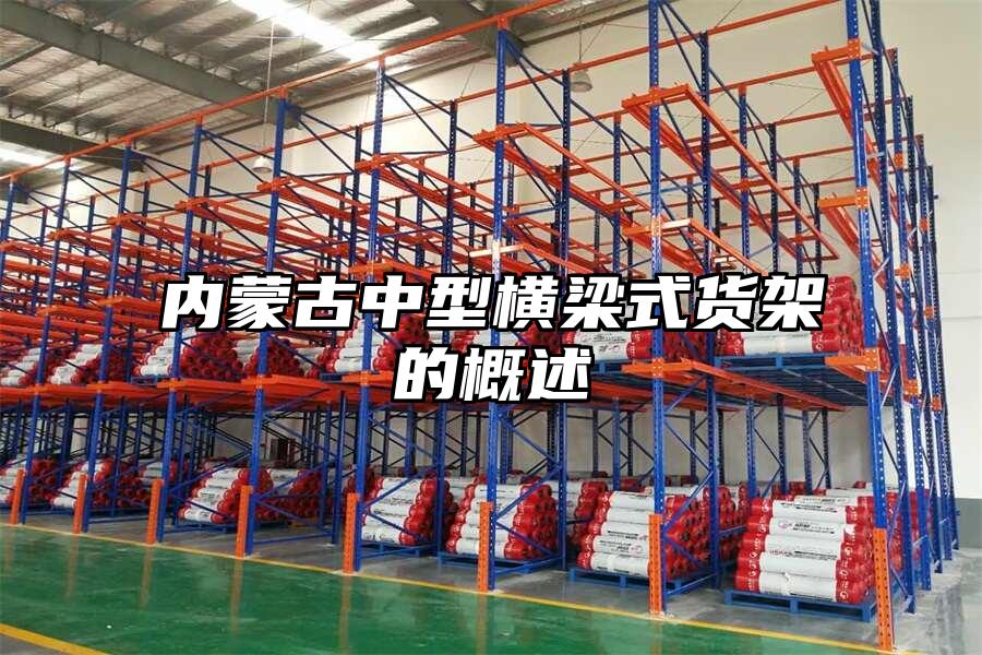 內(nèi)蒙古中型橫梁式貨架的概述