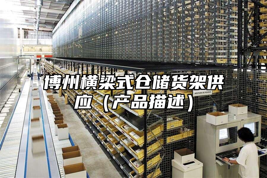 博州橫梁式倉儲貨架供應（產品描述）