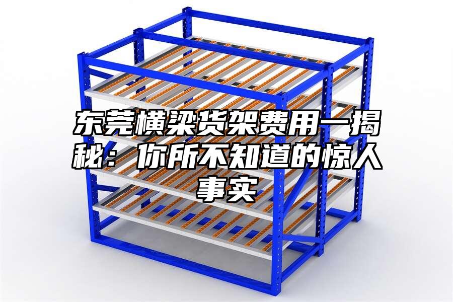 東莞橫梁貨架費用一揭秘：你所不知道的驚人事實