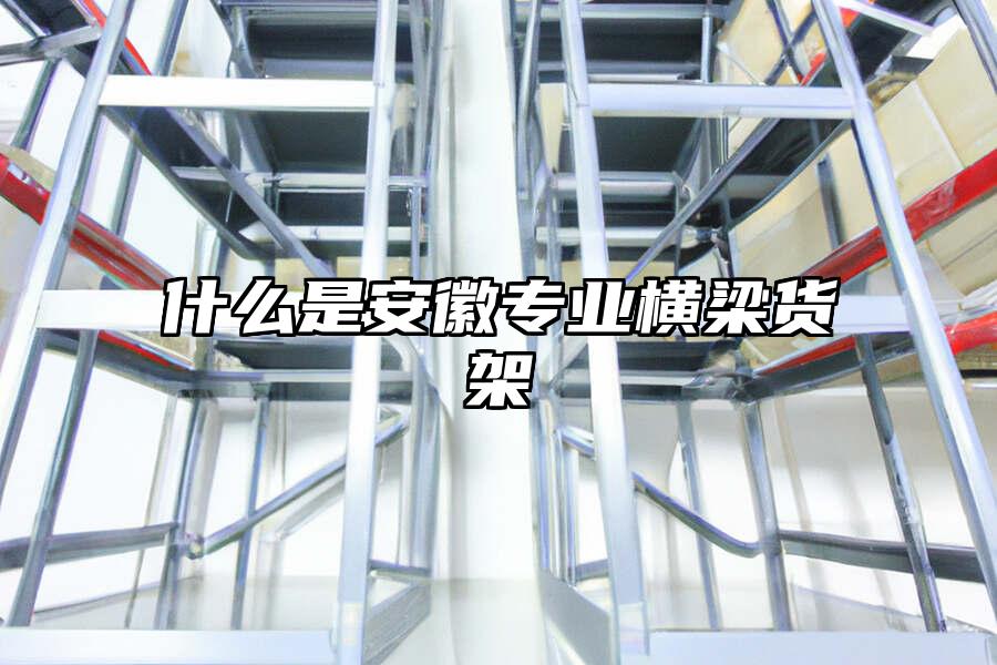 什么是安徽專業橫梁貨架